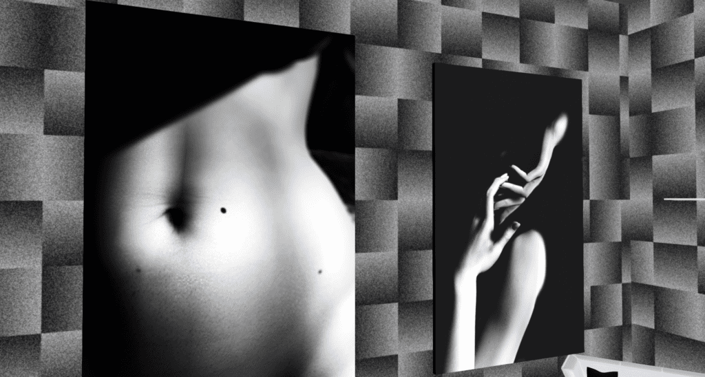 Capturing Digital Memories: A Journey Through Catherine Nikolaidis' 'Play Me a Memory' Exhibition 2 Play me a memory 003