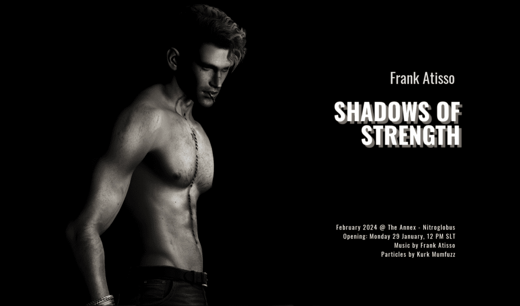 Shadows of Strength: Frank Atisso's Art Exhibition at Nitroglobus Roof Art Gallery 5 poster Shadows of Strenght Frank Atisso Dido Haas 2