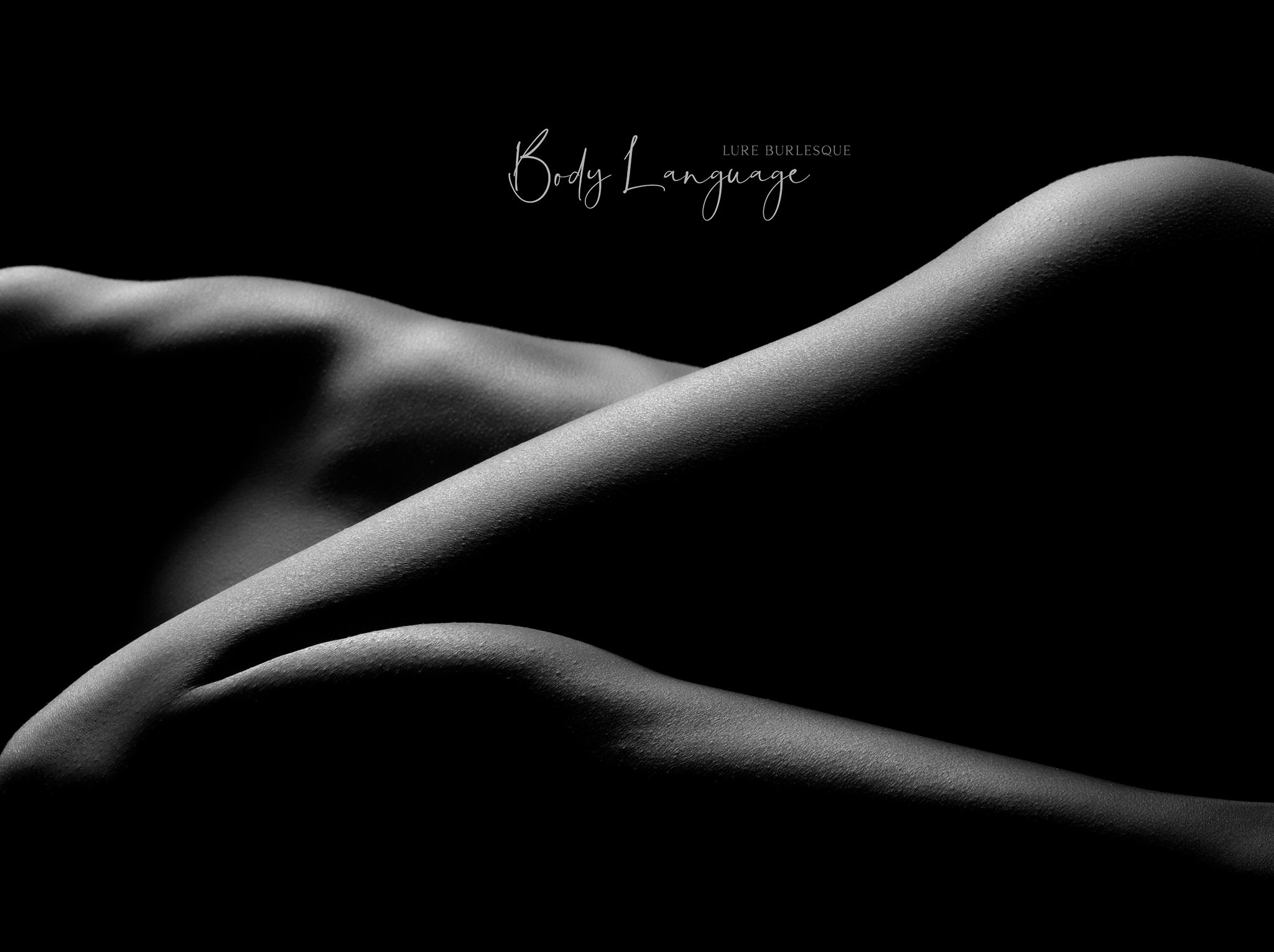 Dive into the Allure: LURE Burlesque’s Seductive Performance "Body Language" 7 449977528 482953027720701 195667181521528813 n