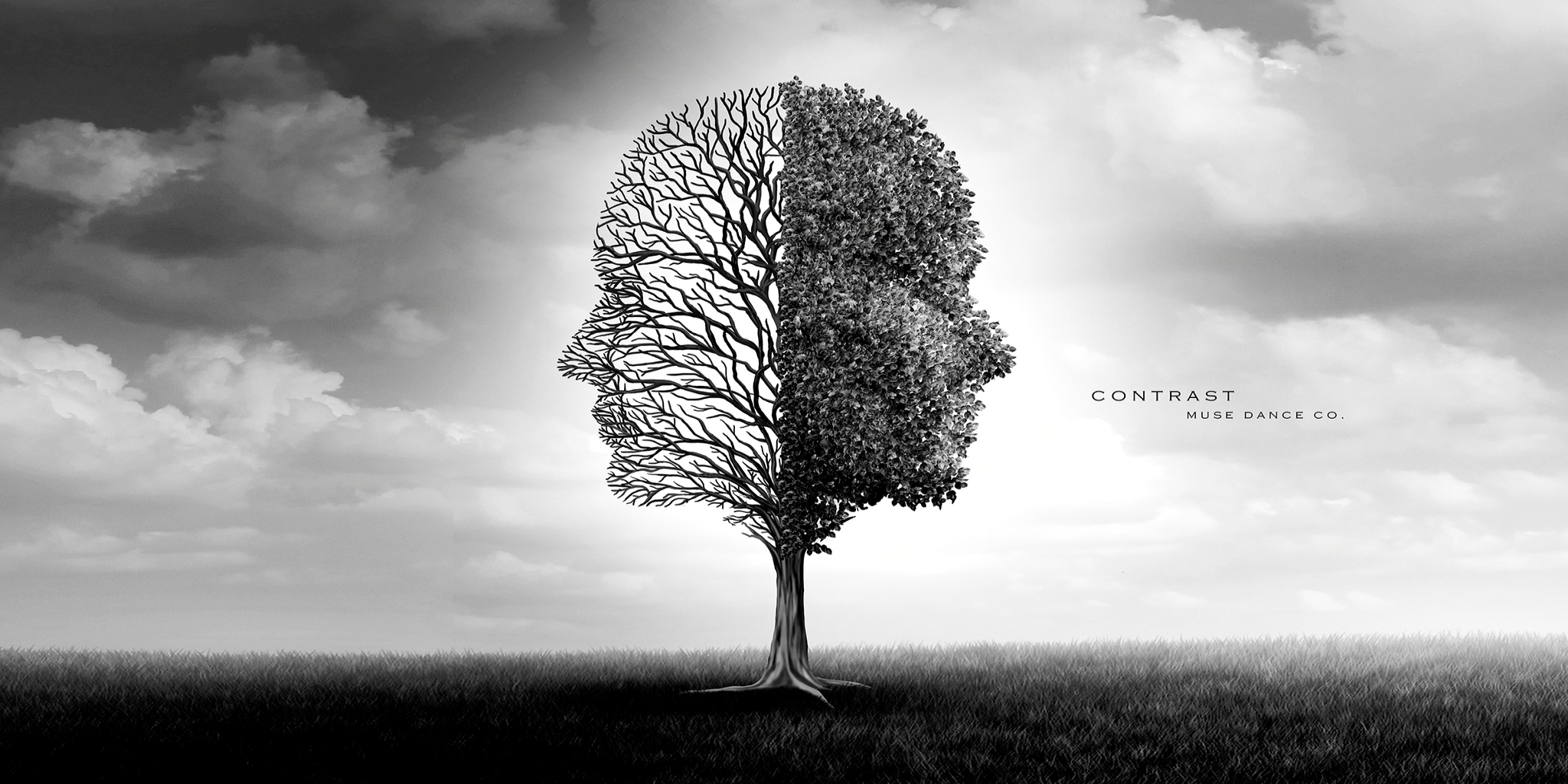 Dive into the World of Dance: Muse Dance Co. Presents "CONTRAST" - A Modern Tribute to Pina Bausch 7 CONTRAST 2024 Promo